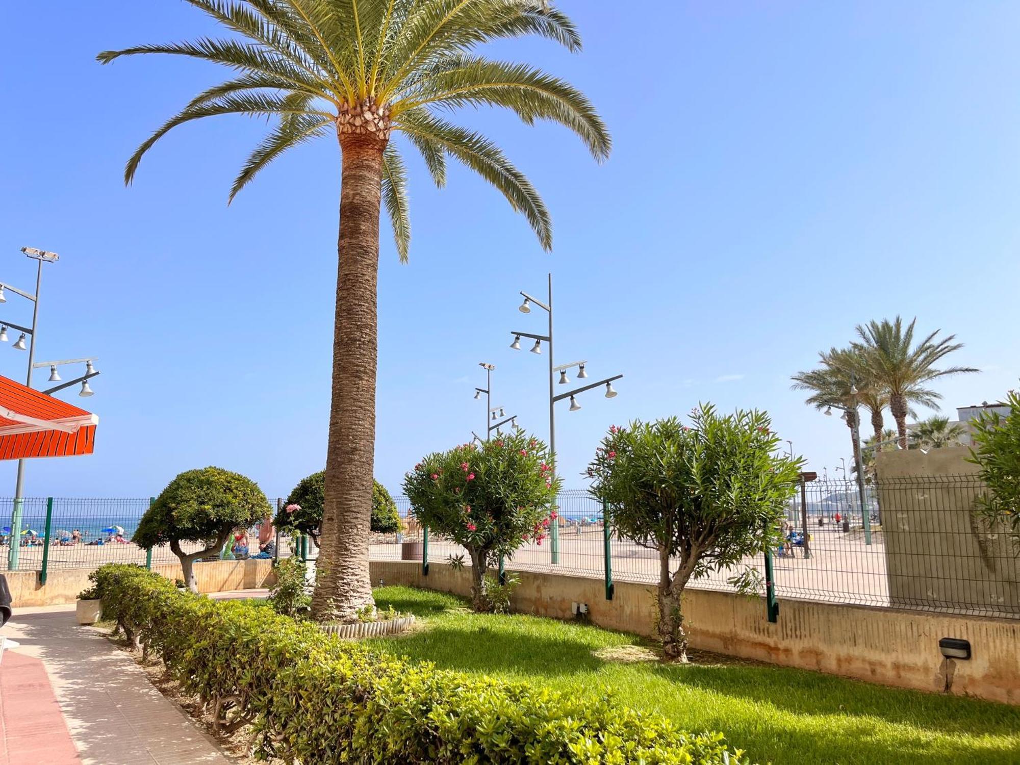 Апартаменти Mediterranean Way - Paradis Playa Ла-Пінеда Екстер'єр фото
